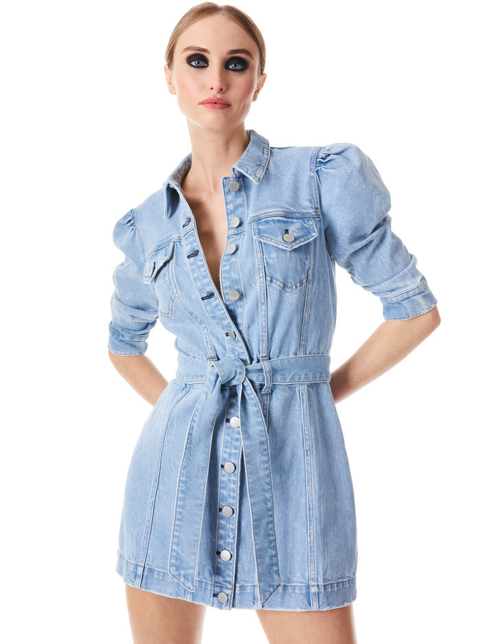 Alice and hotsell olivia denim dress